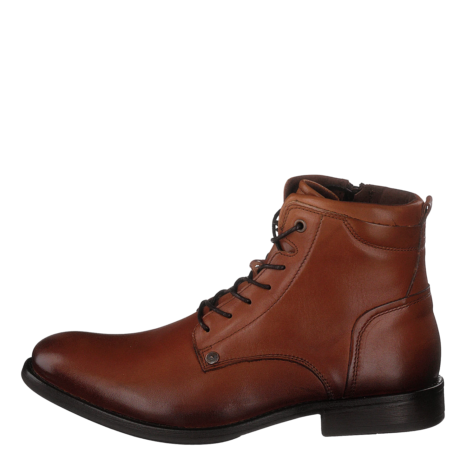 608.34.01 Camel(608 34 01 Camel) 1 608.34.01 Camel(608 34 01 Camel)