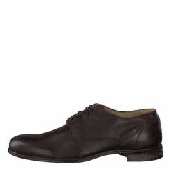 Sneaky Steve Dirty Low Brown(Dirty Low Brown 1)