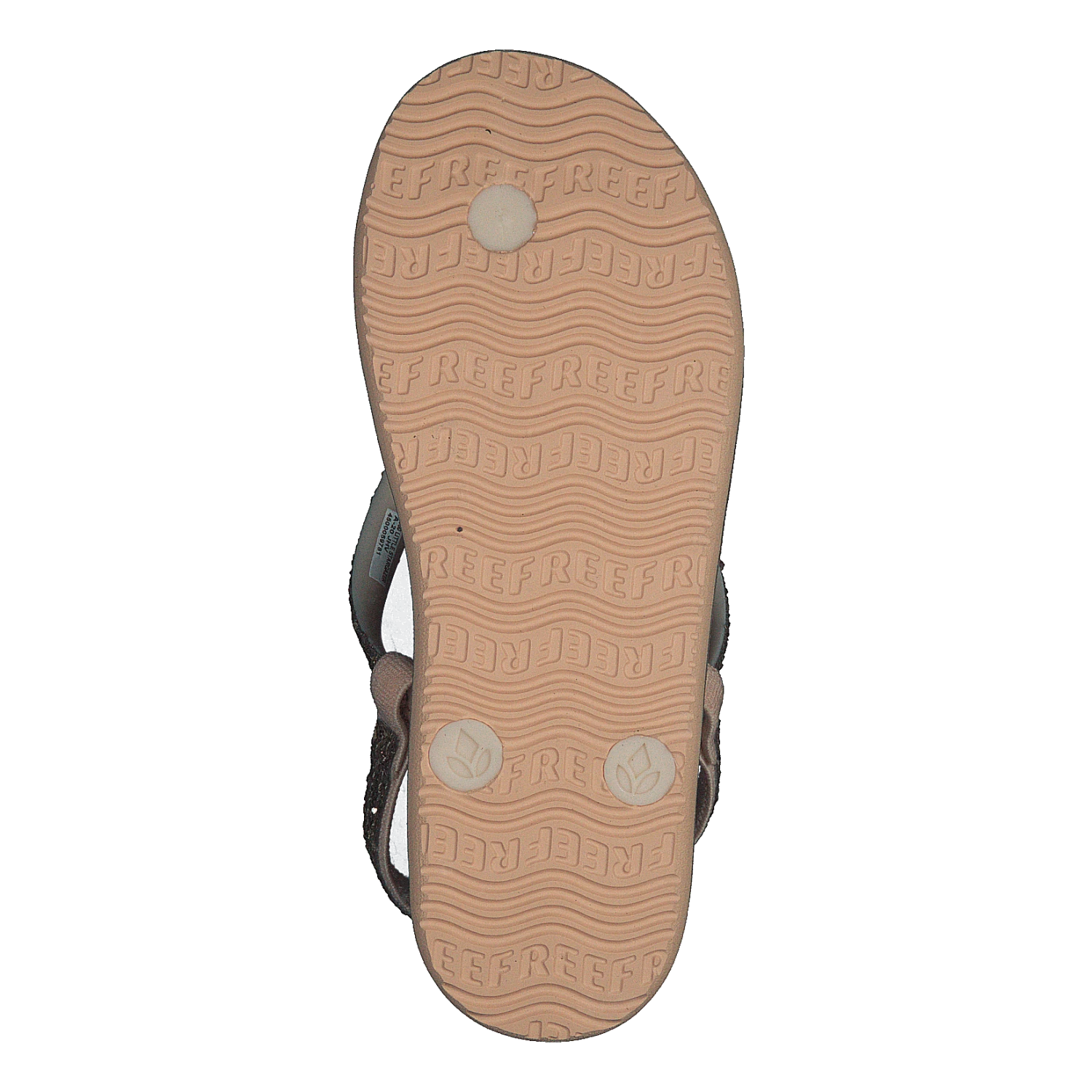 Reef Little Stargazer Gemstone(Little Stargazer Gemstone) 7 Reef Little Stargazer Gemstone(Little Stargazer Gemstone) - Bild 7