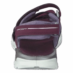 ECCO Biom Raft Aubergine(Biom Raft Aubergine) -Heppo Butik 60231 11