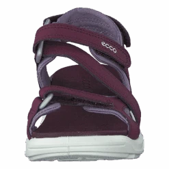 ECCO Biom Raft Aubergine(Biom Raft Aubergine) -Heppo Butik 60231 11 6db5d552 2080 46f9 b12c 0eed9b47606f