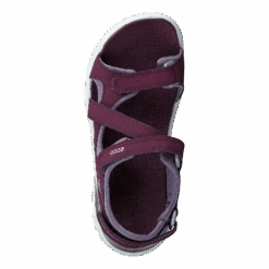 ECCO Biom Raft Aubergine(Biom Raft Aubergine) -Heppo Butik 60231 11 dd4fb97a e505 4d79 bf7c ff059637ae16