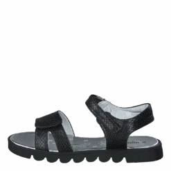 Gulliver 433-0686 Black(433 0686 Black)