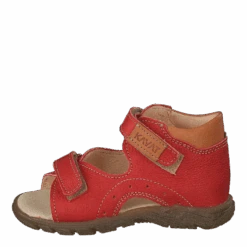 Kavat Micro Ep Porcelain Rose(Micro Ep Porcelain Rose)