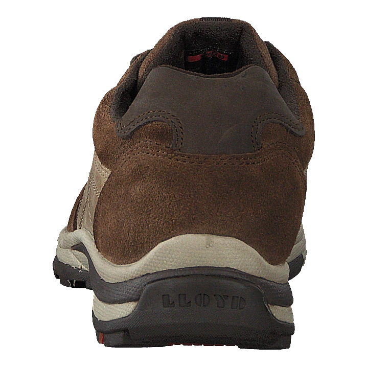 Lloyd Efrat Raven/coffee(Efrat Raven Coffee) 5 Lloyd Efrat Raven/coffee(Efrat Raven Coffee) - Bild 5