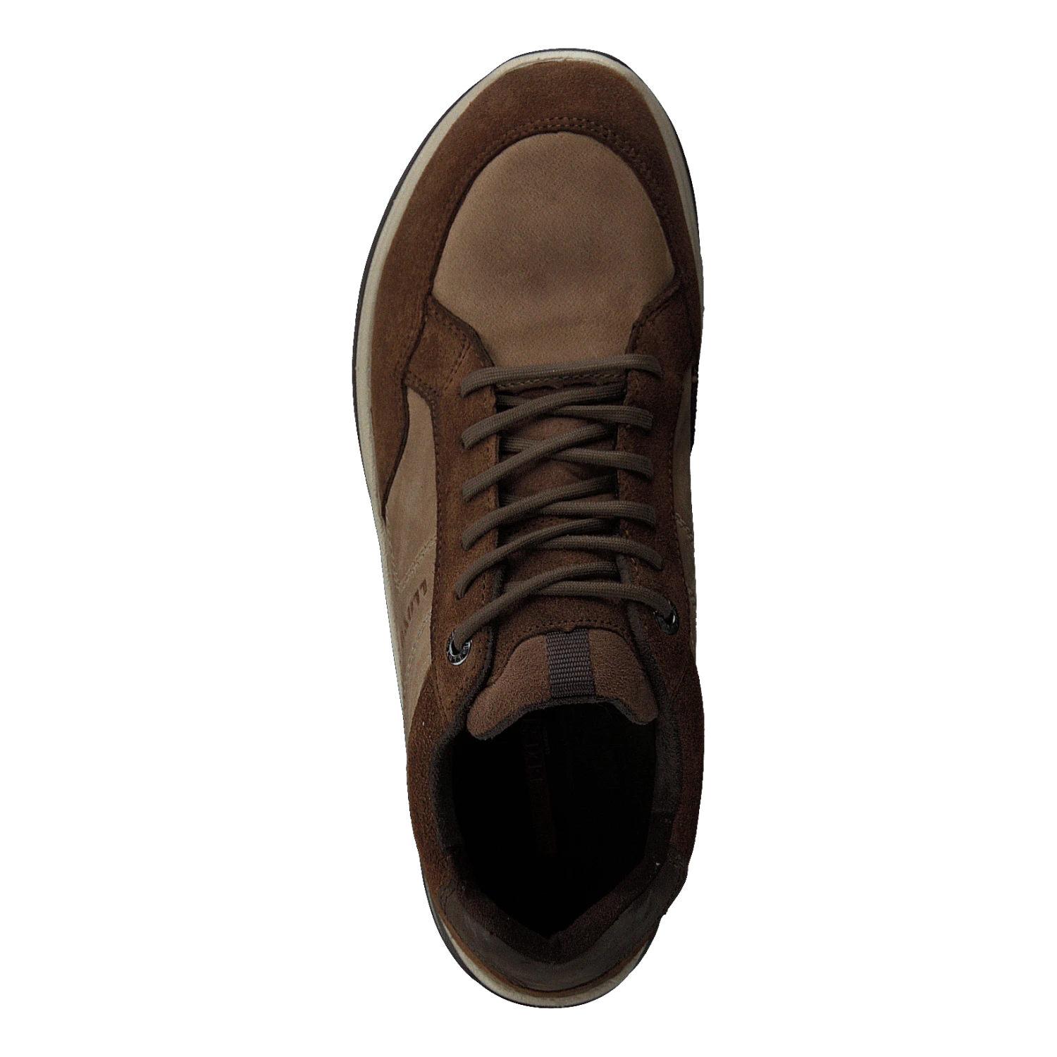 Lloyd Efrat Raven/coffee(Efrat Raven Coffee) 6 Lloyd Efrat Raven/coffee(Efrat Raven Coffee) - Bild 6