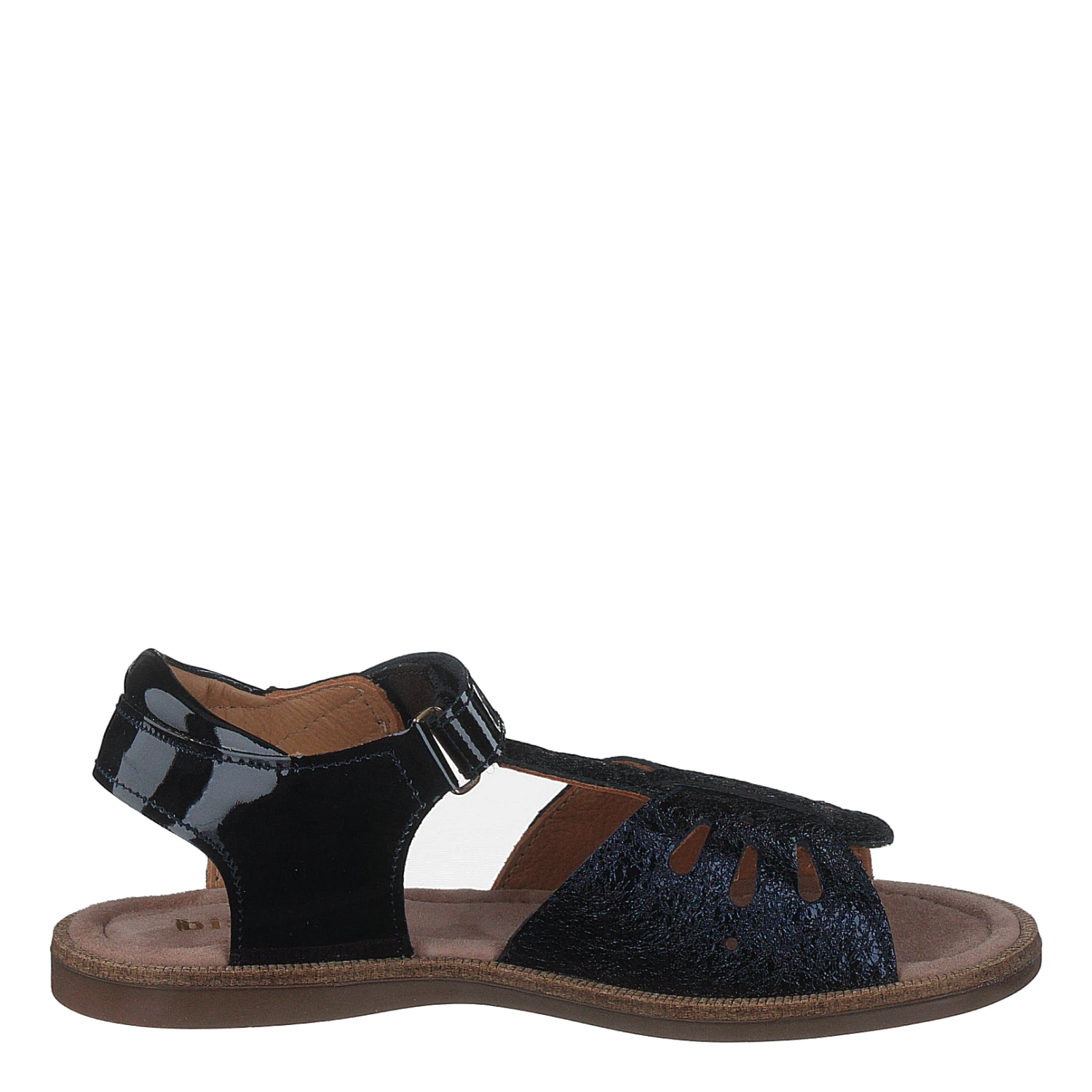 Cassidy Midnight(Bisgaard Cassidy Midnight) 2 Cassidy Midnight(Bisgaard Cassidy Midnight) - Bild 2