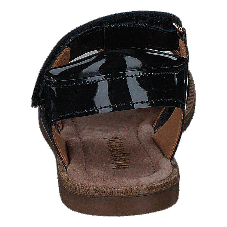 Cassidy Midnight(Bisgaard Cassidy Midnight) 5 Cassidy Midnight(Bisgaard Cassidy Midnight) - Bild 5