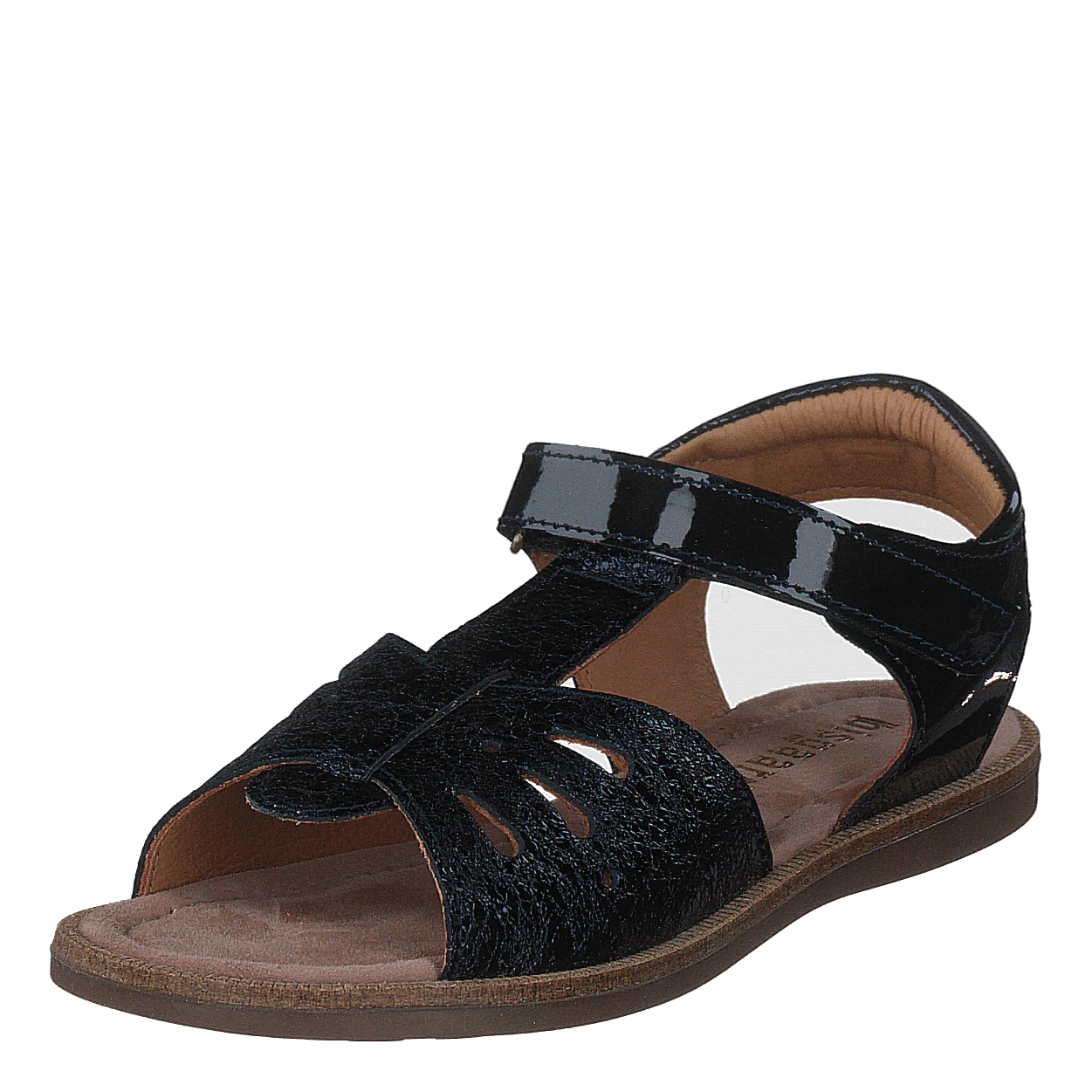 Cassidy Midnight(Bisgaard Cassidy Midnight) 3 Cassidy Midnight(Bisgaard Cassidy Midnight) - Bild 3