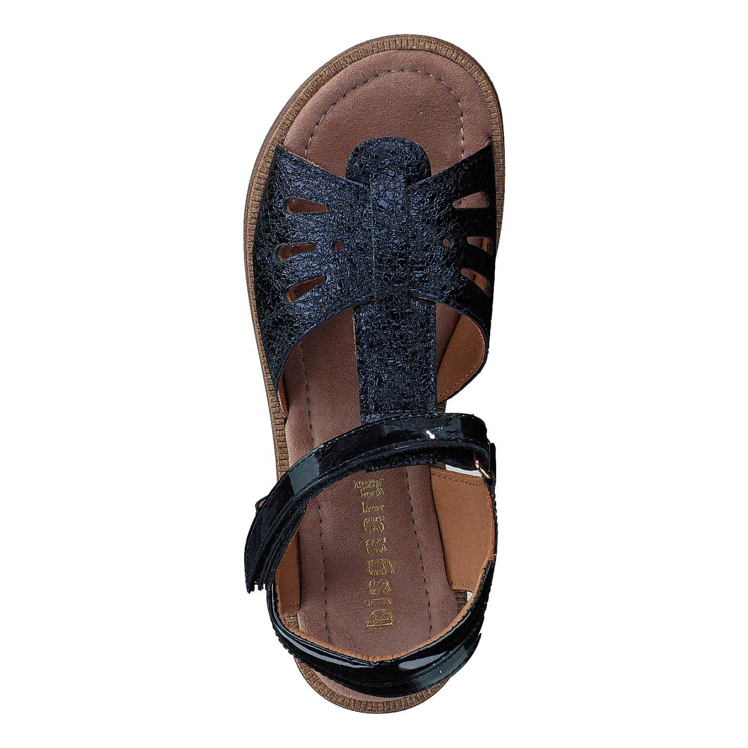 Cassidy Midnight(Bisgaard Cassidy Midnight) 6 Cassidy Midnight(Bisgaard Cassidy Midnight) - Bild 6