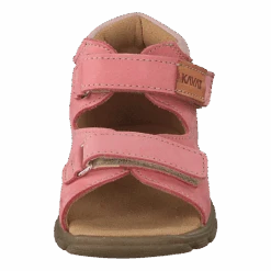 Micro Xcn Brandied Apricot(Kavat Micro Xcn Brandied Apricot) -Heppo Butik 60294 34