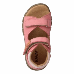 Micro Xcn Brandied Apricot(Kavat Micro Xcn Brandied Apricot) -Heppo Butik 60294 34 76c10a2c 2f82 46ef a831 c59c6904adc9