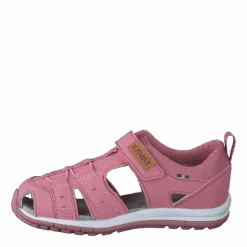 Tobo Tx Brandied Apricot(Kavat Tobo Tx Brandied Apricot)