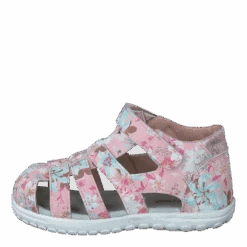 437-6171 Pink(Gulliver 437 6171 Pink)