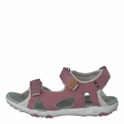 Rio Tx Ash Rose(Kavat Rio Tx Ash Rose)