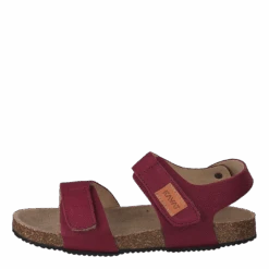 Bomhus Ep Peony(Kavat Bomhus Ep Peony)