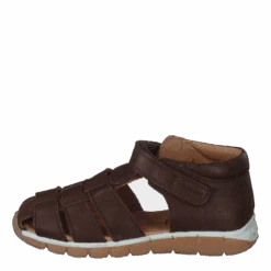 Bisgaard Billie Brown(Bisgaard Bisgaard Billie Brown)