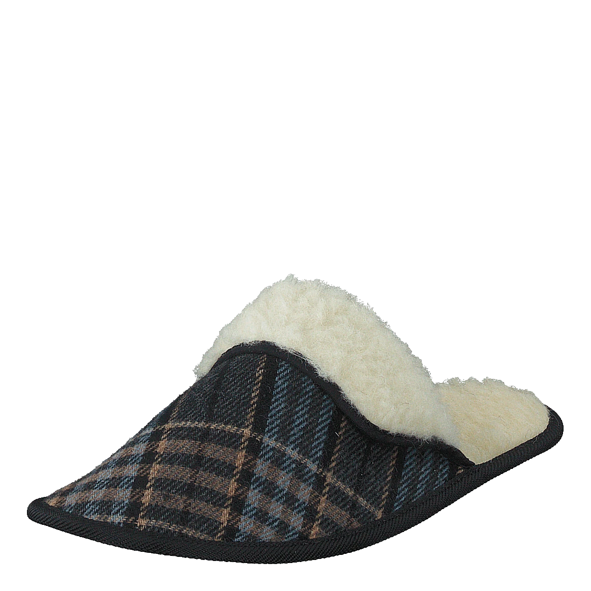 Bertil Brown(Mohedatoffeln Bertil Brown) 3 Bertil Brown(Mohedatoffeln Bertil Brown) - Bild 3