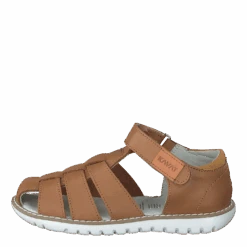 Hällevik Xc Cookie(Kavat H Llevik Xc Cookie)