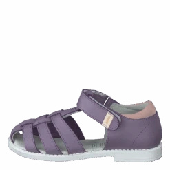 Forsvik Xc Lavendel(Kavat Forsvik Xc Lavendel)