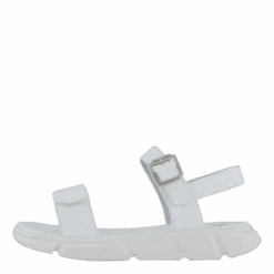 Balham White(Wildflower Balham White)