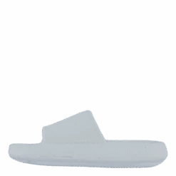 Stern White(Wildflower Stern White)