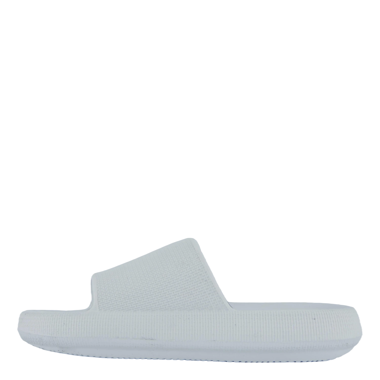 Stern White(Wildflower Stern White) 1 Stern White(Wildflower Stern White)