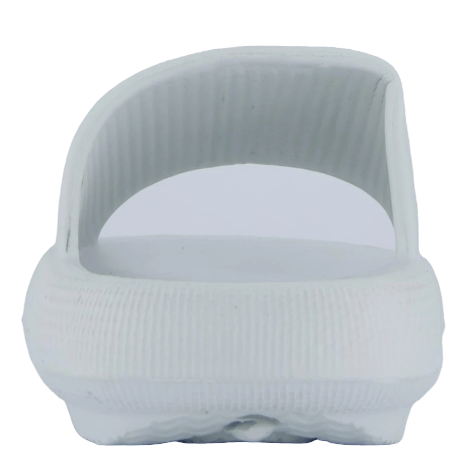 Stern White(Wildflower Stern White) 5 Stern White(Wildflower Stern White) - Bild 5