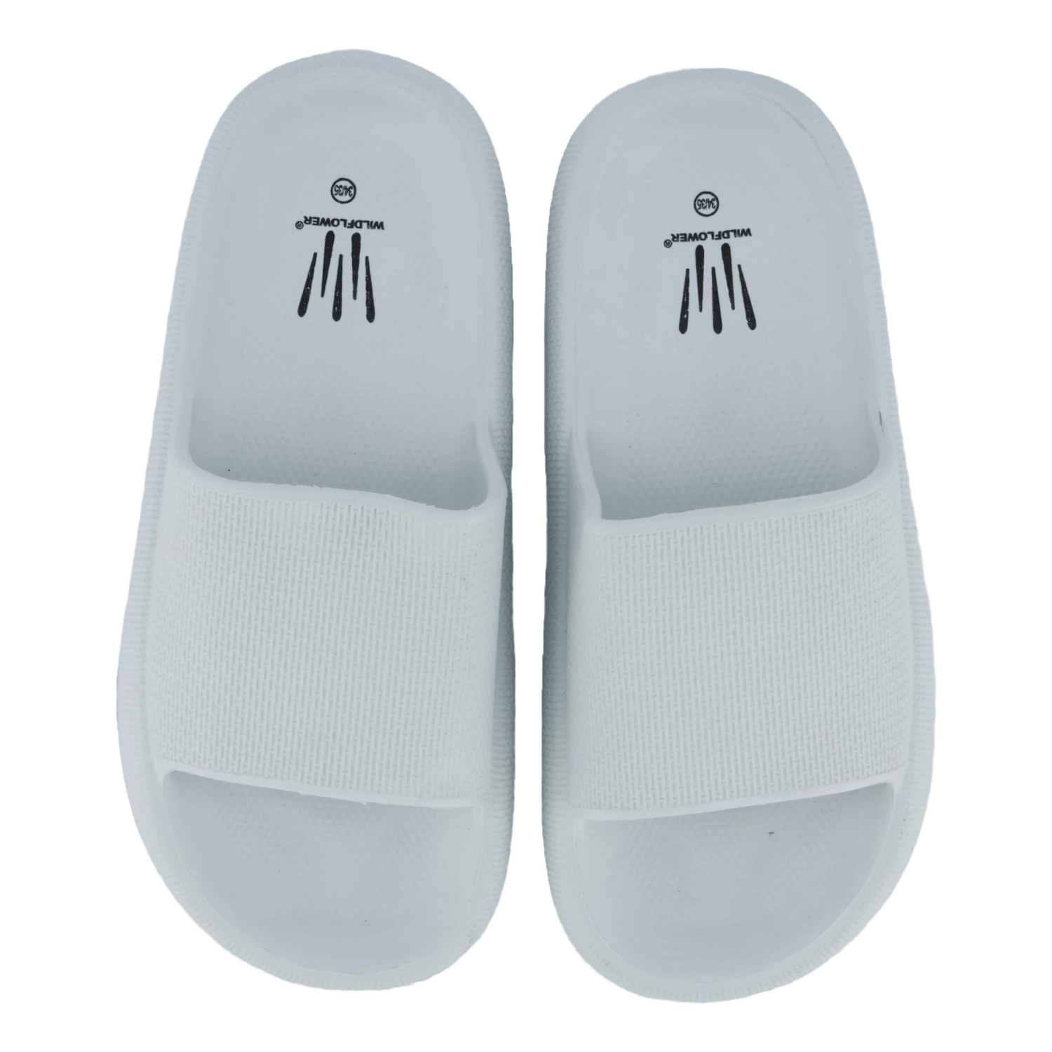 Stern White(Wildflower Stern White) 6 Stern White(Wildflower Stern White) - Bild 6