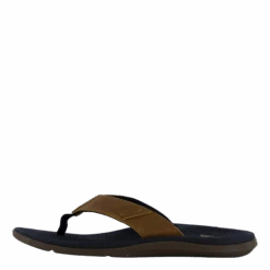 Santa Ana Le Black And Tan(Reef Santa Ana Le Black And Tan)