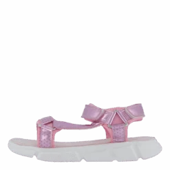 Camberwell Pink(Wildflower Camberwell Pink 2)