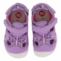 Pepper Purple(Pax Pepper Purple) -Heppo Butik 61177 00 006