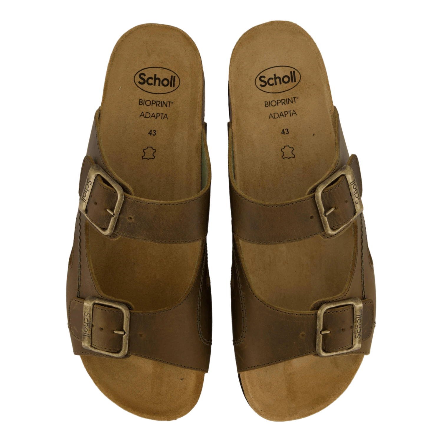 Moldava Ad Olive(Scholl Moldava Ad Olive) 6 Moldava Ad Olive(Scholl Moldava Ad Olive) - Bild 6