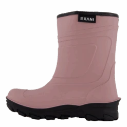 Ted Jr Plum(Exani Ted Jr Plum)