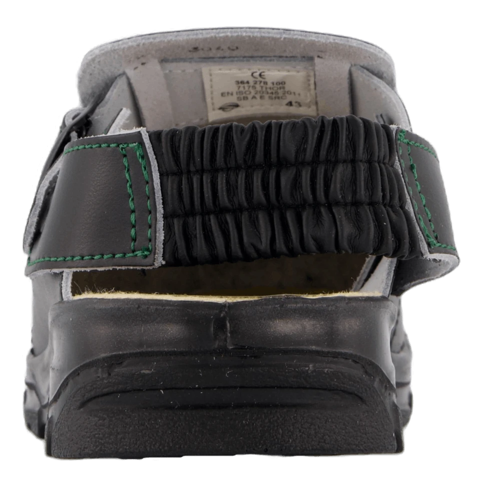 Thor Black(Mohedatoffeln Thor Black) 5 Thor Black(Mohedatoffeln Thor Black) - Bild 5