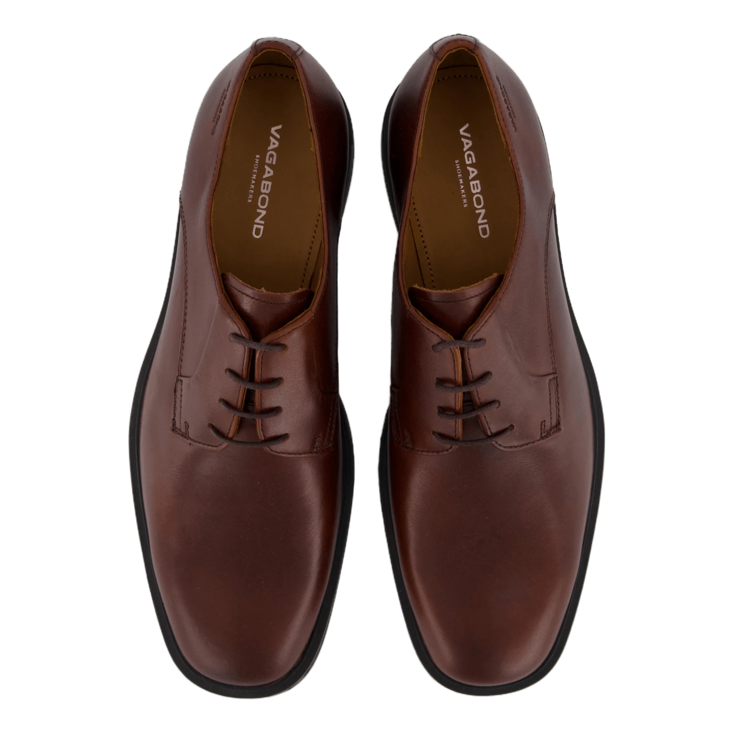 Andrew Chestnut(Vagabond Andrew Chestnut) 6 Andrew Chestnut(Vagabond Andrew Chestnut) - Bild 6